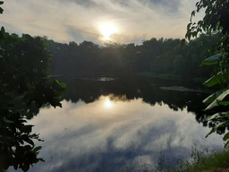 TREE CENSUS METHODOLOGY AND LAKE REJUVENATION