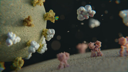 Deceiving viruses: a blueprint for fighting future outbreaks and pandemics?