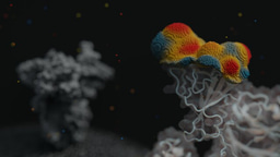 Innophore's 3D point clouds provide a head start in monitoring emerging SARS-CoV-2 variants