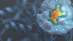 DrugSolver CavitomiX: A GPU-accelerated tool for drug repurposing and off-target analysis using cavity property point clouds on NVIDIA DGX