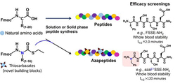Advancing Azapeptides- A novel platform to expedite azapeptide synthesis and accelerate therapeutics development