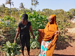 Celebrating achievements