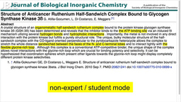 Student/beginner mode for on-line Journals