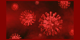 Pharmacists as Co-Leaders in Antimicrobial Stewardship: Essential Partners in Combating AMR during Emergencies