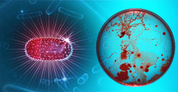        Top Six Articles on Antimicrobial Stewardship