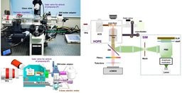HOPE-SIM, a cryo-structured illumination fluorescence microscopy system for accurately targeted cryo-electron tomography