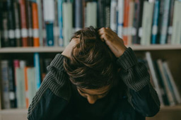 When crisis hits crisis: Doctoral researchers’ mental health and PhD training satisfaction during the German COVID-19 lockdown