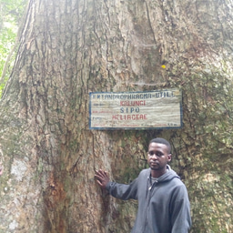 Hello, from Kinshasa 