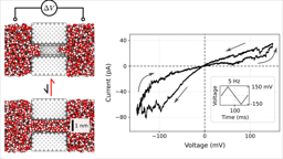 Hydrophobically gated memristive nanopores for neuromorphic applications