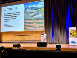 A serendipitous path to discovering a potent monoclonal antibody (mAb) for the treatment of human metapneumovirus  (HMPV) infections