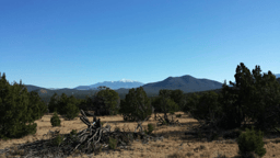 Water availability creates global thresholds in soil health