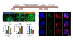 ICU patient-on-a-chip emulating orchestration of mast cells and cerebral organoids in neuroinflammation