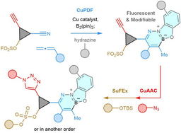 Click Processes Involving Nitriles and Allenes are Orthogonal to CuAAC and SuFEx and Generate Fluorescent Linkages