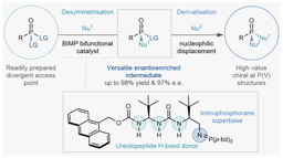 A Chiral Bifunctional Superbase Catalyst Forges P(V) Stereocenters by Nucleophilic Substitution