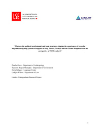 Investigating the Structural Barriers Faced by Irregular Migrants Across Europe