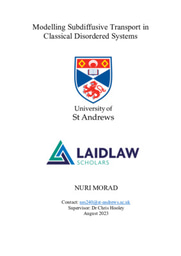 Research Essay: Modelling Subdiffusive Transport in Classical Disordered Systems