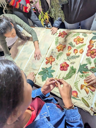 A Week of Joyful Collaboration: Re_Action for Impact Peru 2024 Week 5