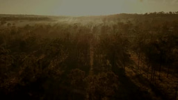 Connect and Protect — Apply for the 2026 PAT Scholarship Program