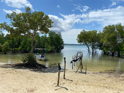 Field Research with VSO Kenya