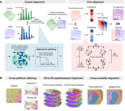 SANTO: a coarse-to-fine alignment and stitching method for spatial omics
