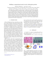 Building a Computational Model of Active Deformable Particles