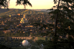 LiA Blog: My Journey with Ubani