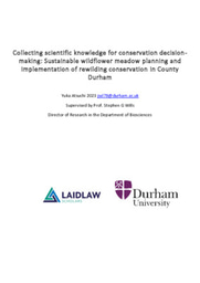 Laidlaw Summer Report Rewilding and Wildflower meadow