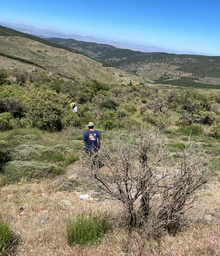 Microbes hold the key to explain soil carbon losses under climate warming