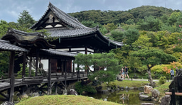 Guardian (JP) Inc. - LiA Reflections #2