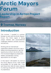 Arctic Mayors' Forum - LiA Report