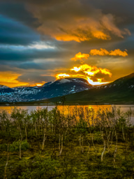 Week 3 LiA Blog Post - Arctic Mayors' Forum