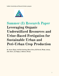 Summer I Research Paper