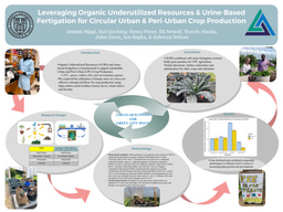 Summer (I) Research Poster