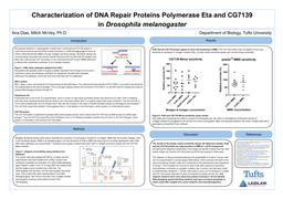 Dias-Ana Laidlaw Poster