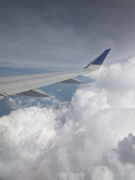 A Heartfelt Comedic Timeline of my Internal Thoughts