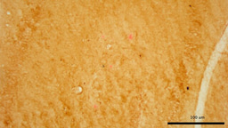 Thinking back on my 6* week research project