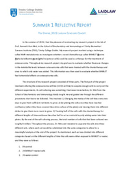 Summer 1 Reflective Report - Tea Stapar 