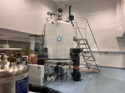 Reflecting on my Laidlaw Research experience in the summer of 2023