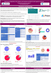 Research Project Summer 1 Poster