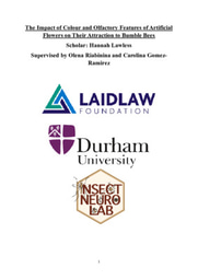 Research Project: The Impact of Colour and Olfactory Features of Artificial Flowers on Their Attraction to Bumble Bees