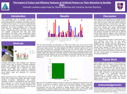 Laidlaw Bumble Bee Olfactory and Visual Attraction of Artificial Flowers Poster Poster