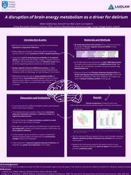 Summer 1 research poster 