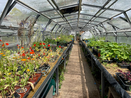 LiA Reflection 3: Community Agriculture at Wolves Lane Centre