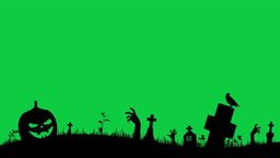 The Darkside of Conservation Surveillance - Research Poster