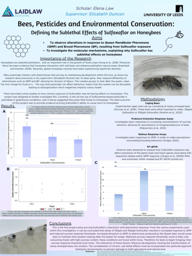 Bees, Pesticides & Our Environment 