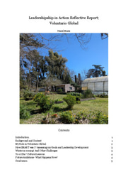 Leadershipship in Action Reflective Report