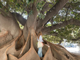 Agriculture and Community; how my LIA proved that free food works!