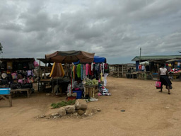 Week 5- Culture Shock