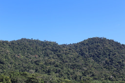 Back to Source: week one, part two