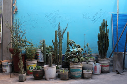 Back to Source: week one, part one